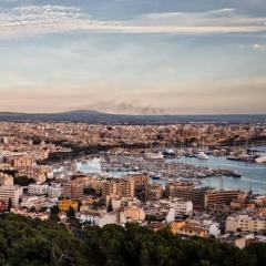 Palma Panorama