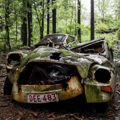 Alte Autos im Wald